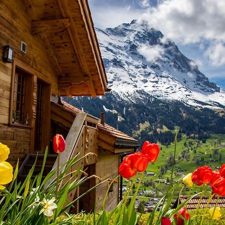 Chalet Caramelle Grindelwald Zewnętrze zdjęcie