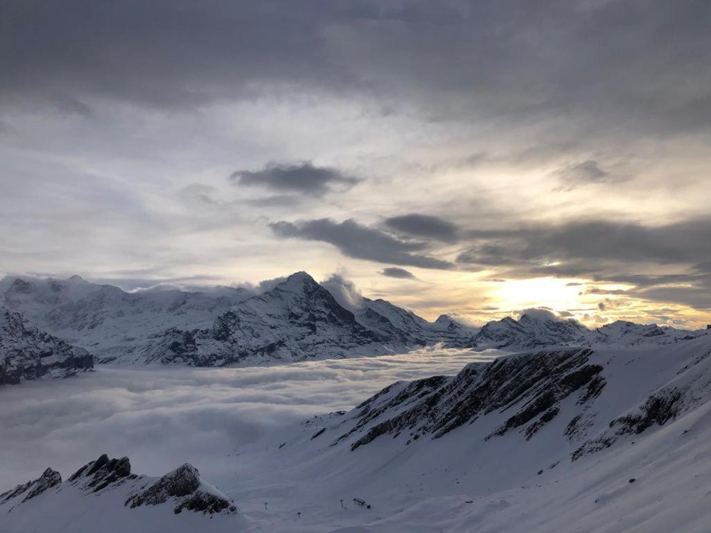 Chalet Caramelle Grindelwald Zewnętrze zdjęcie
