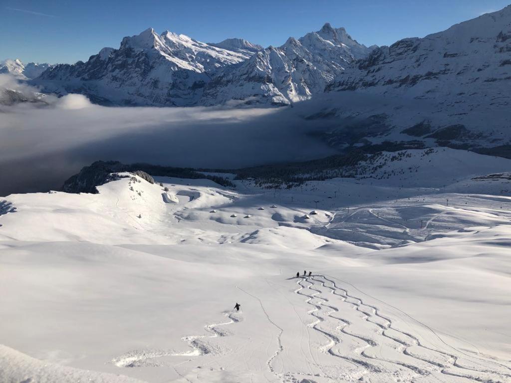 Chalet Caramelle Grindelwald Zewnętrze zdjęcie