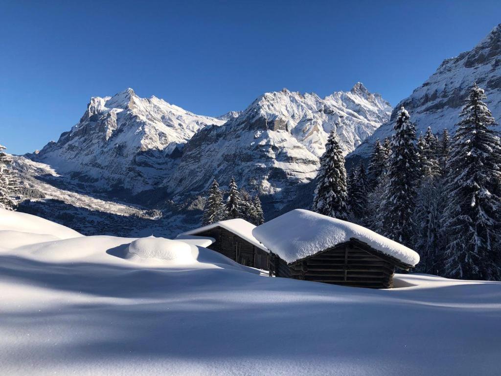 Chalet Caramelle Grindelwald Zewnętrze zdjęcie